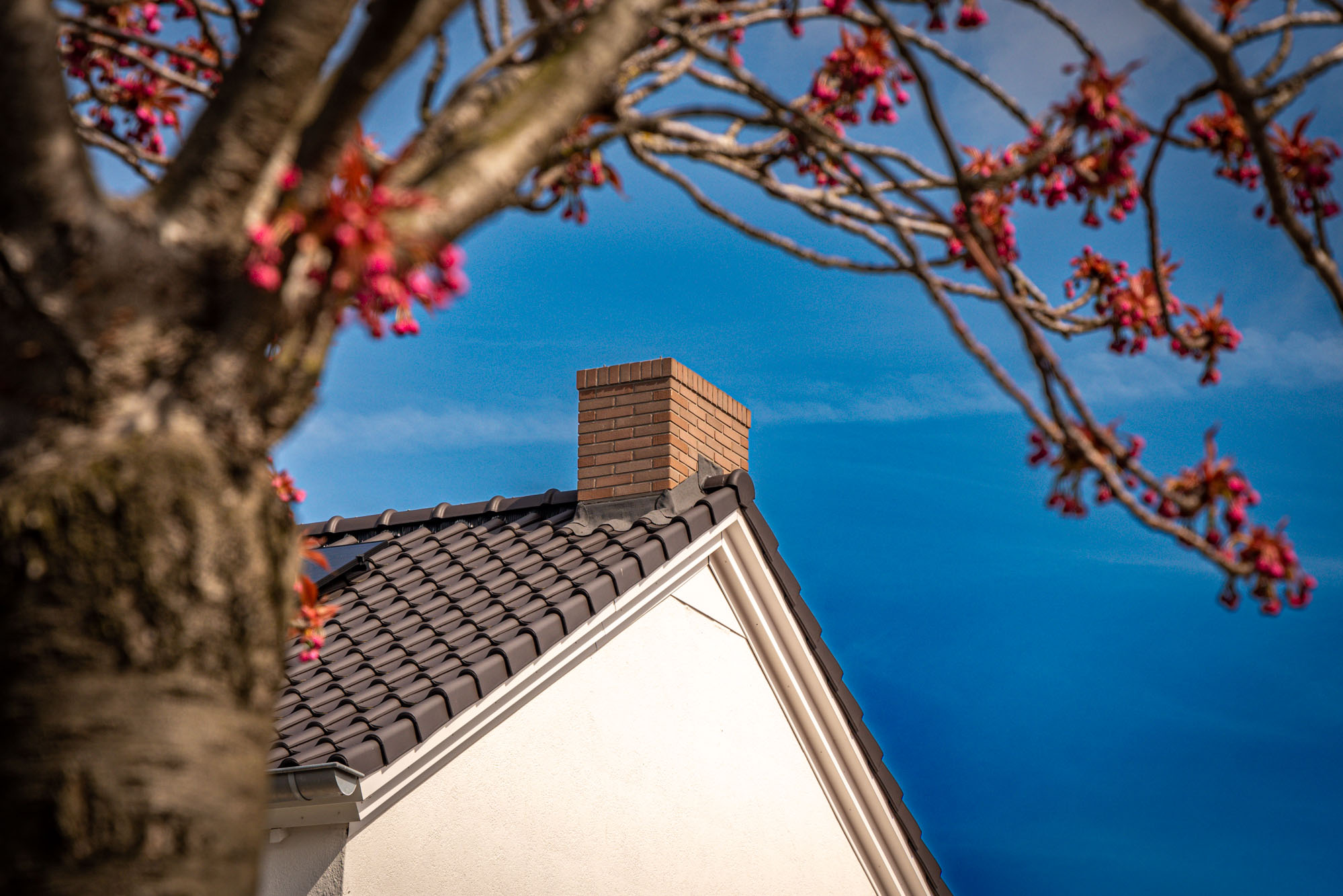 Overzetschoorsteen Wassenaar