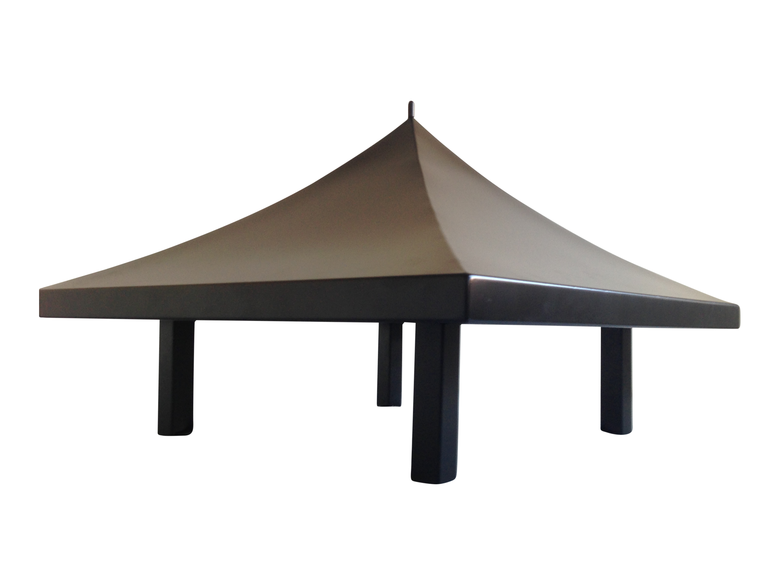 RVS toogkap schoorsteenkap